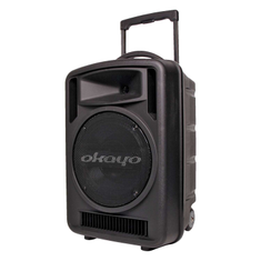 Hire Okayo 100W Portable Battery PA System, in Newstead, QLD