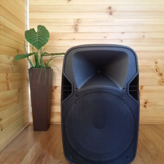 Hire HIGH POWERED 15″ 1000W ACTIVE SPEAKER WITH BLUETOOTH, in Kingsgrove, NSW