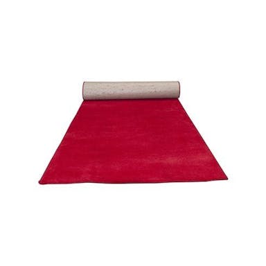 Hire Red carpet 2.4 x 1.2m